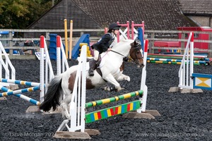 Class 4 - Fences 2'3 to 2'6